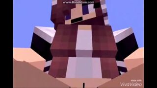 Best Minecraft Videos