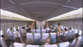 Sex In Plane